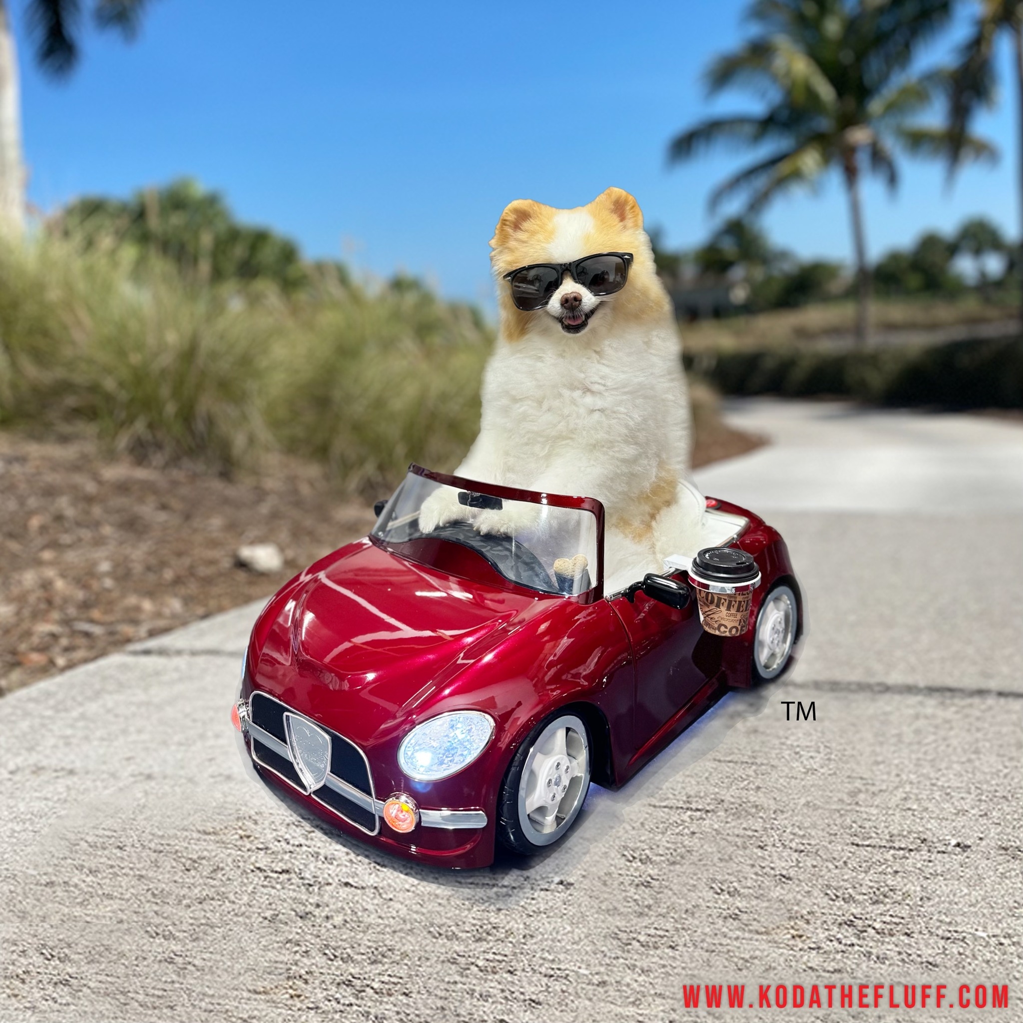 Koda the Fluff - A classic! Loved this project. | Facebook