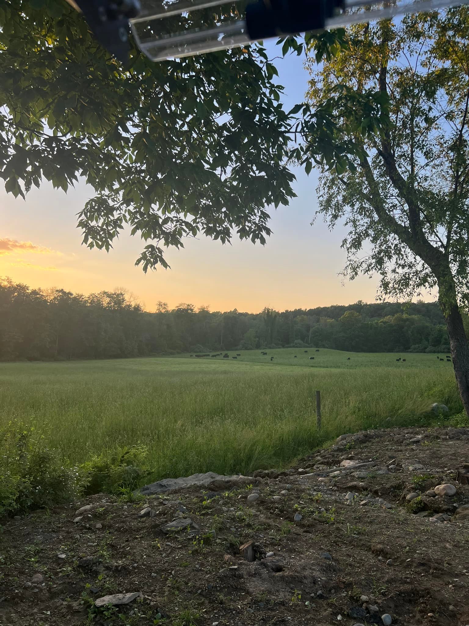 Beaver Brook Ranch | Hope NJ