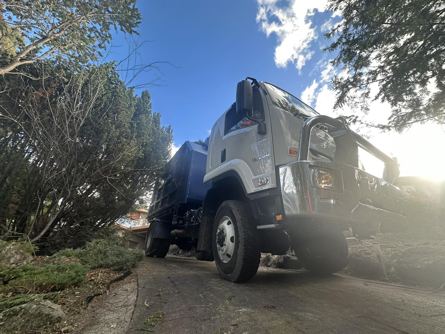 Charlie's Tree Service | South Hobart TAS