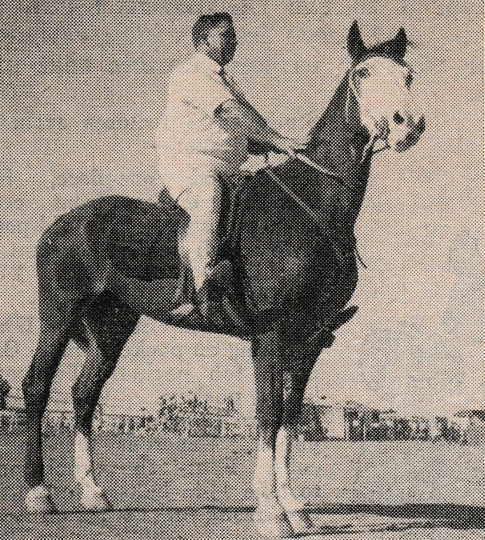 Winton Rodeo in 1957... - Equestrian Memories Australia | Facebook