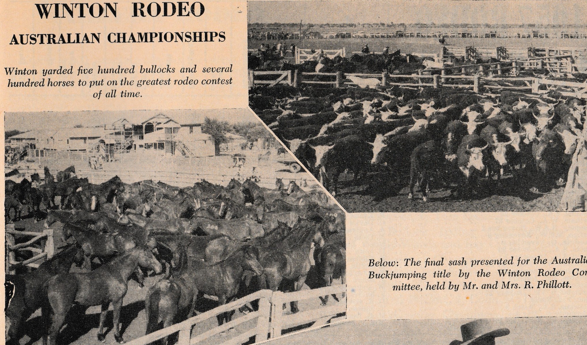Equestrian - Winton Rodeo 1957 Australian Championships Photos: Hoofs ...