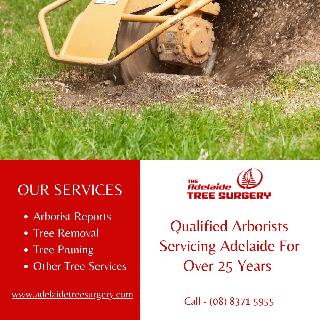 The Adelaide Tree Surgery has the... - Adelaide Tree Surgery | Facebook