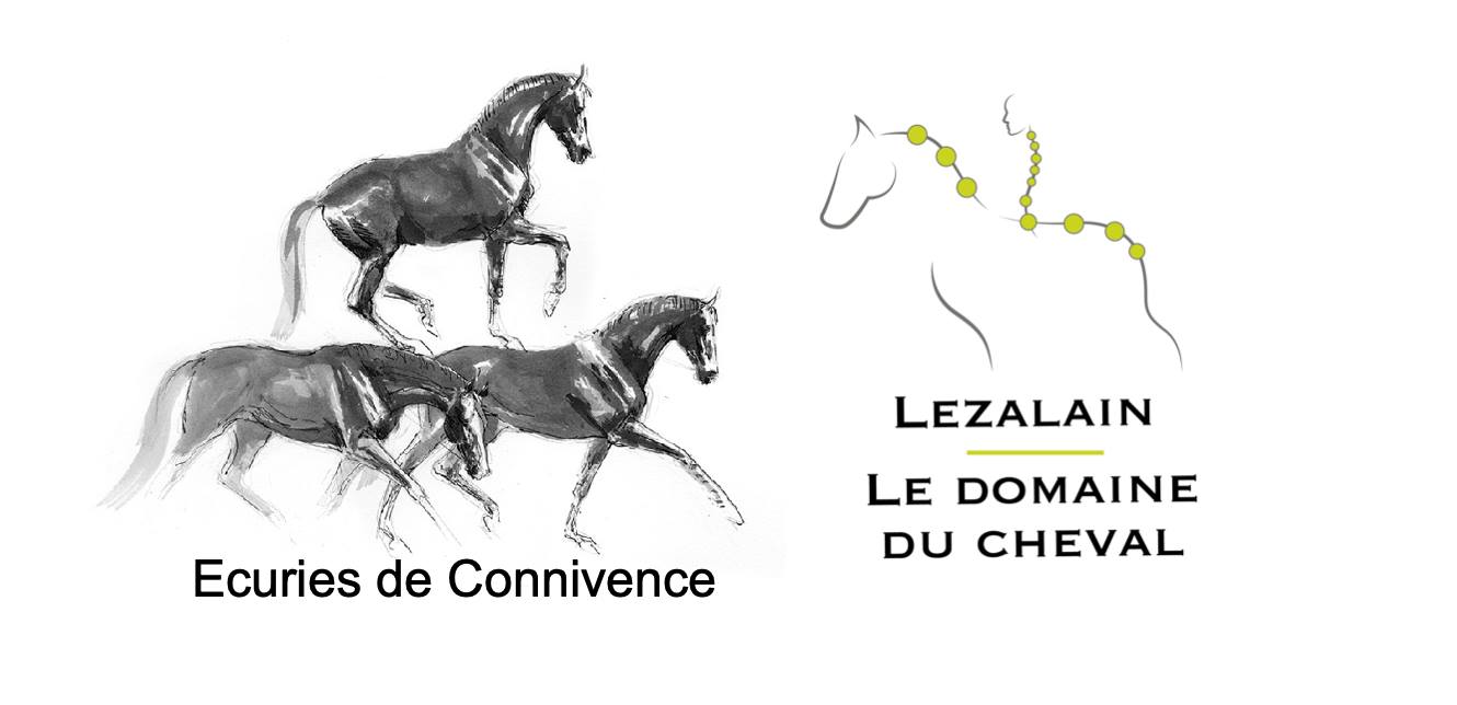 Stage Emilie Haillot COMPLET