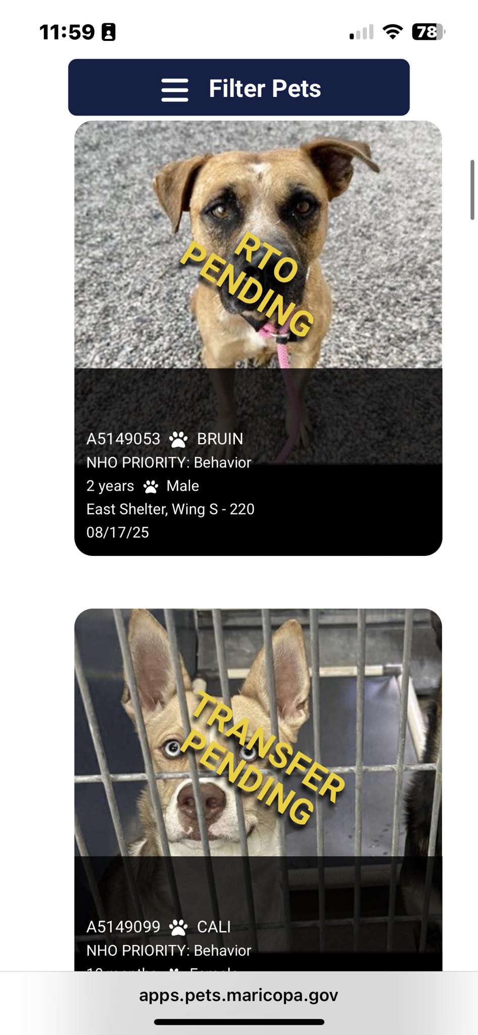 Better Chance Rescue | Mesa AZ