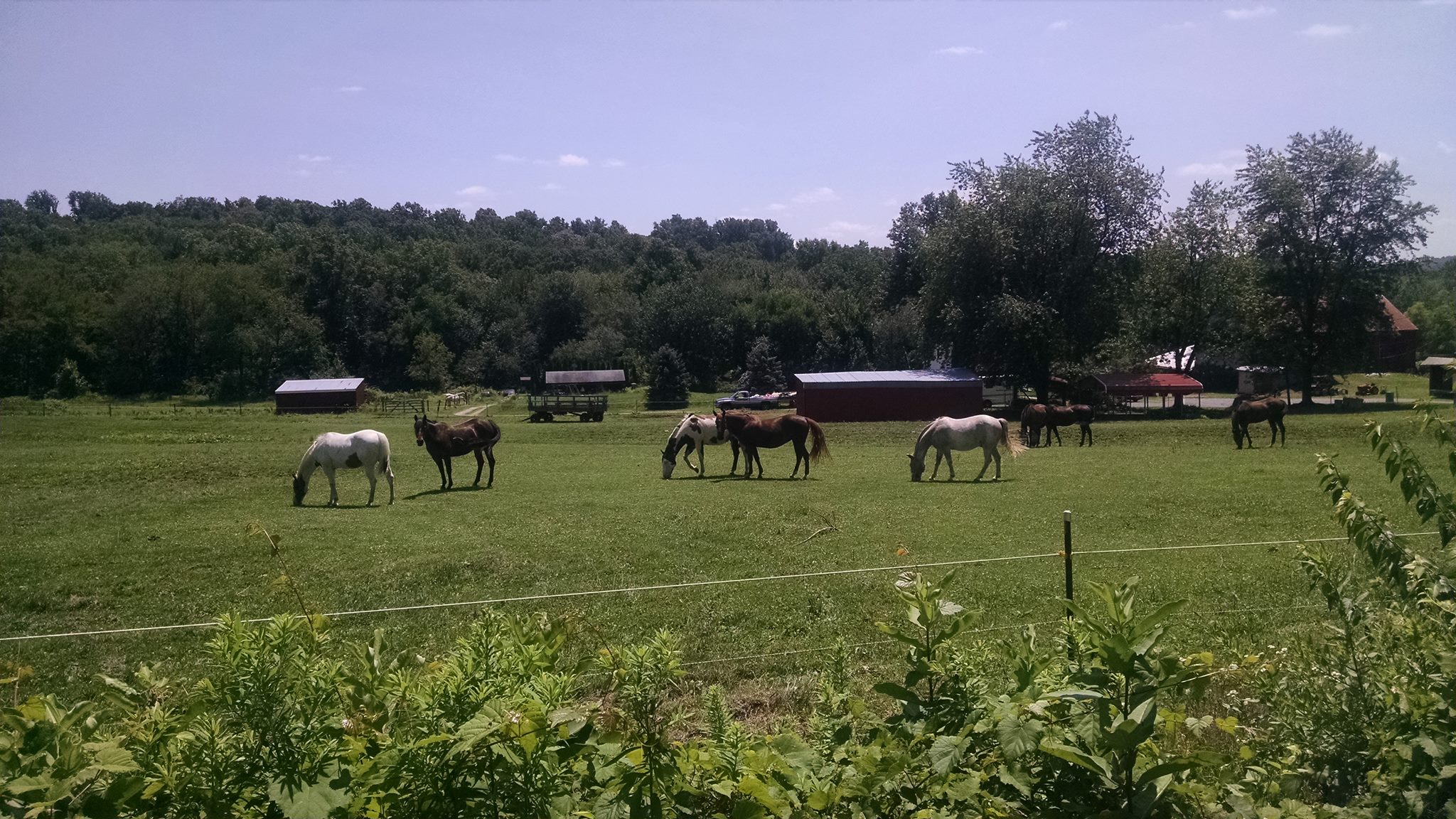 Hobby Horse Ranch | Fleetwood PA
