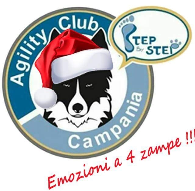 Agility Club Campania Licola