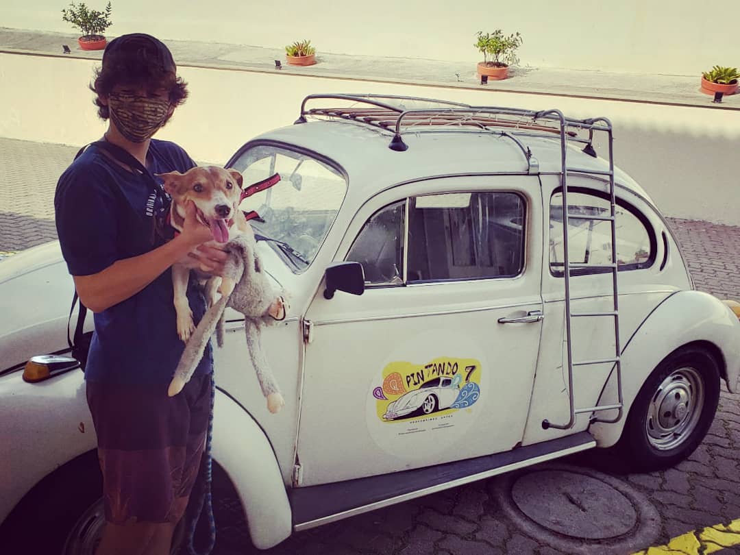 Pintando 7 com Gaspar - Meus amores. . . . . . . . . . . #fusca # ...
