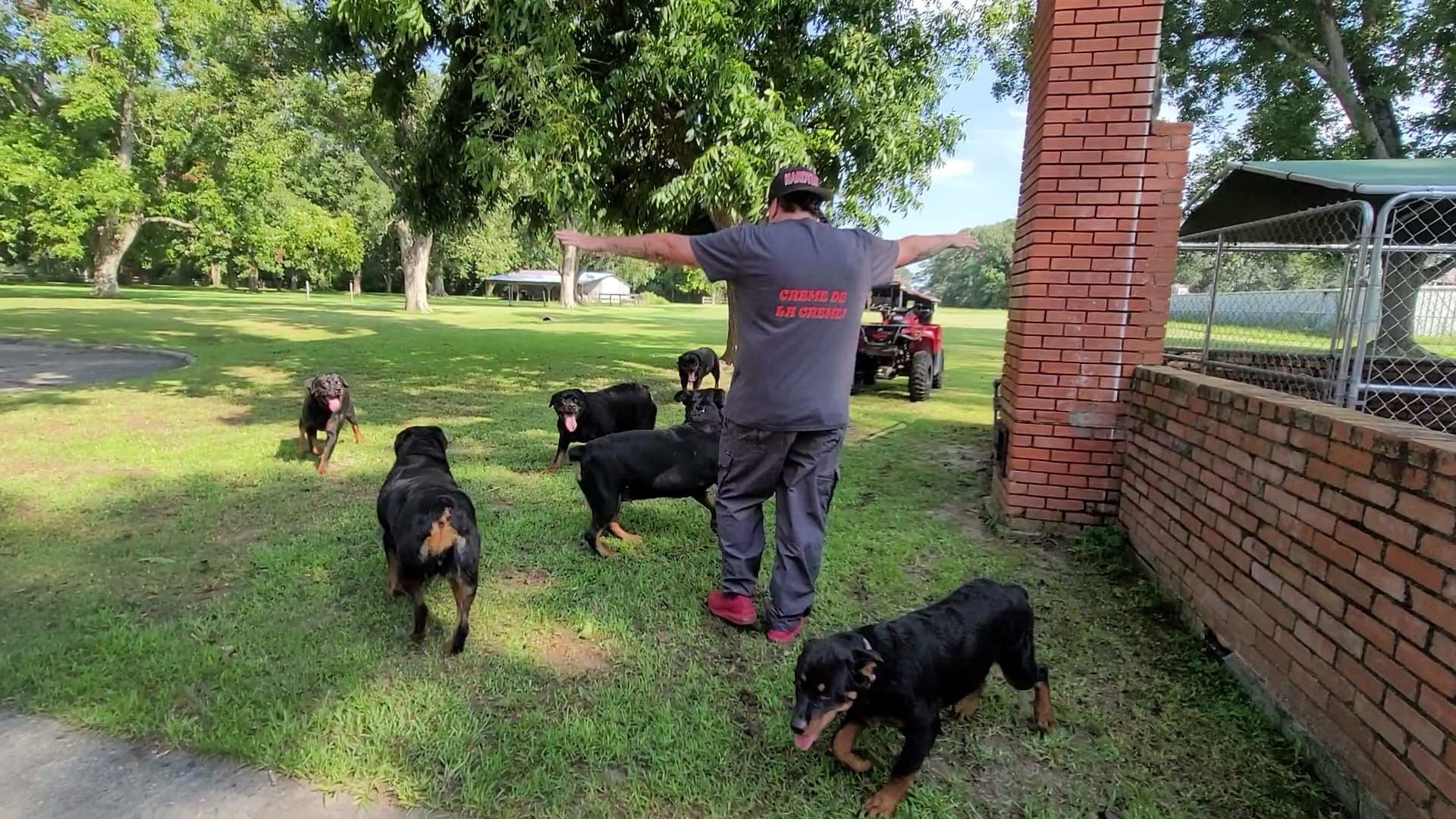 Realestate - Rotties - Lending NMLS# 2667779