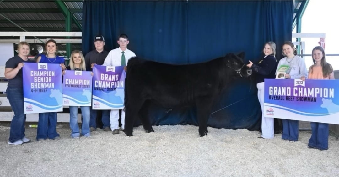 A3 Ranch Club Calves | Pleasant Grove CA