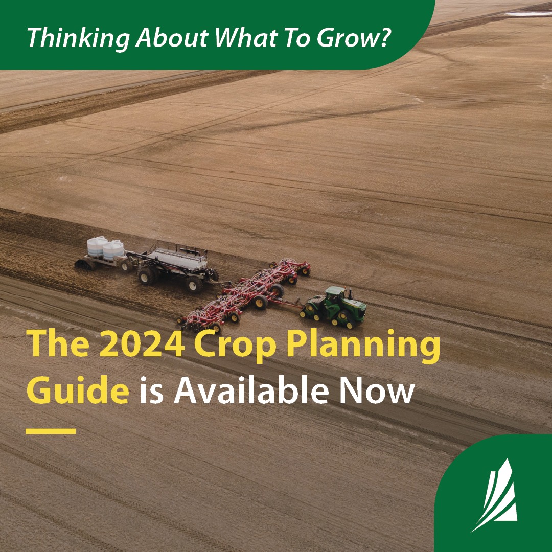 The 2024 Crop Planning Guide is... - Saskatchewan Agriculture