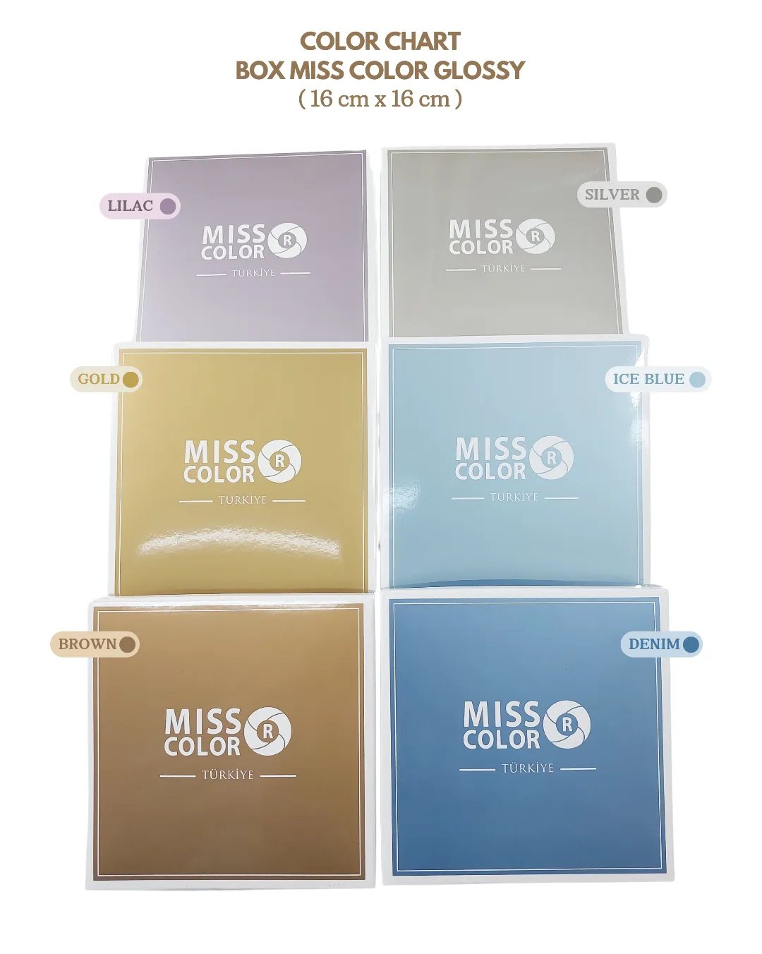 Miss Color Indonesia