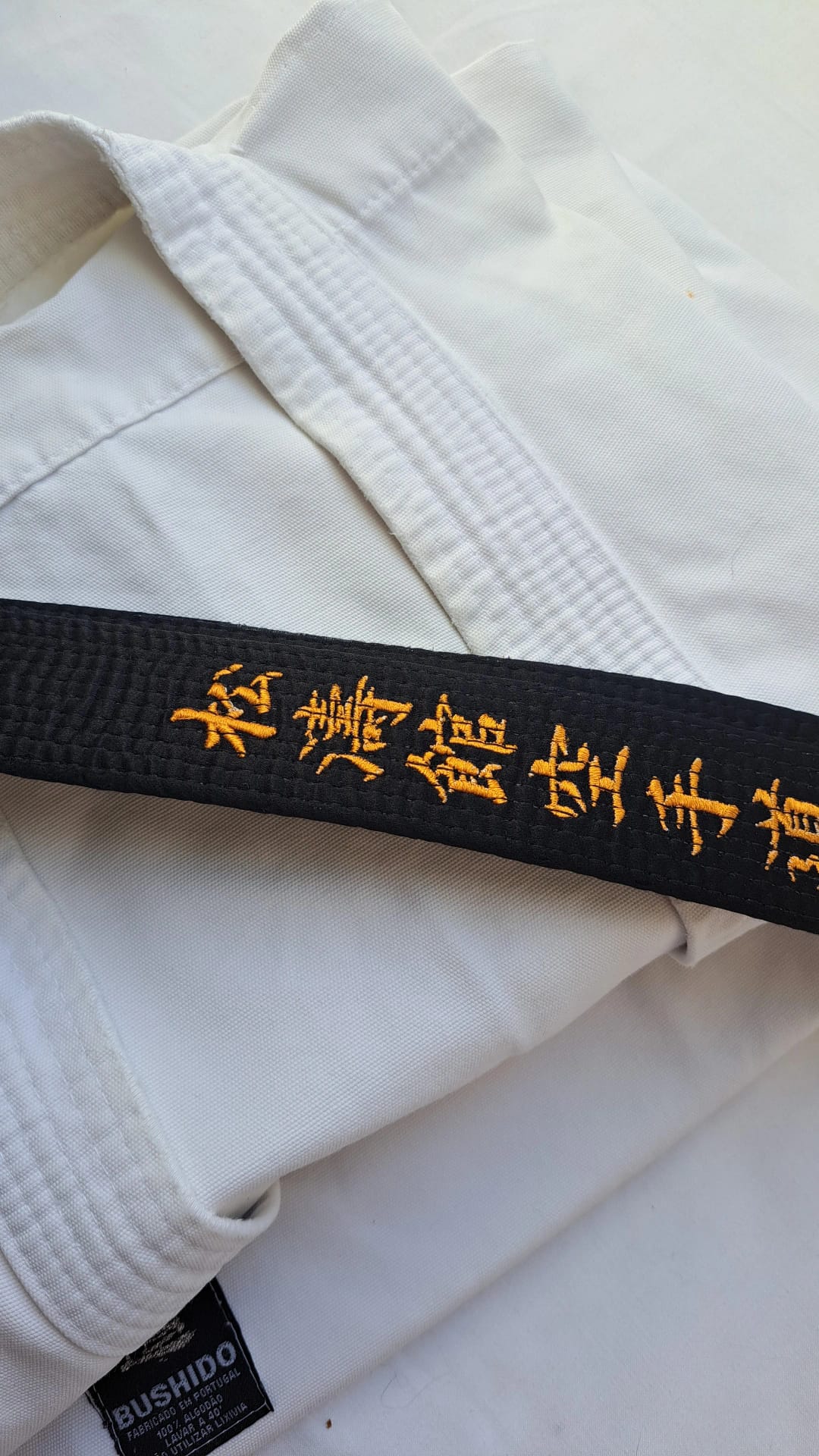 Clase en desarrollo DOJO IBKO SAKAMOTO CORONEL | Shihan Gino Contreras