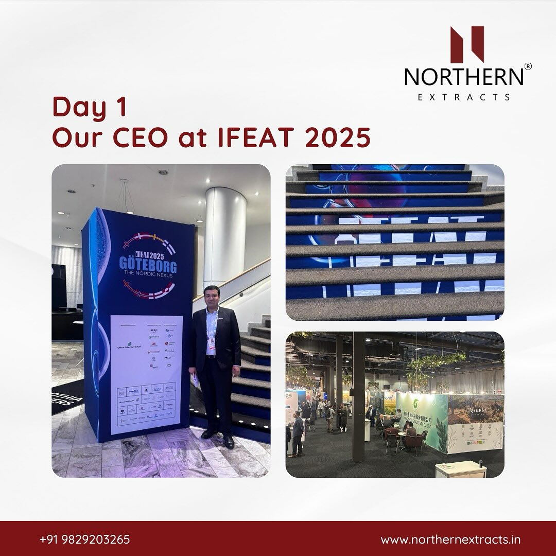 Northern - Day 1 at IFEAT 2025, Göteborg 🇸🇪 | Our CEO is proud to ...