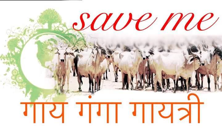 GoRaksha dal rewari