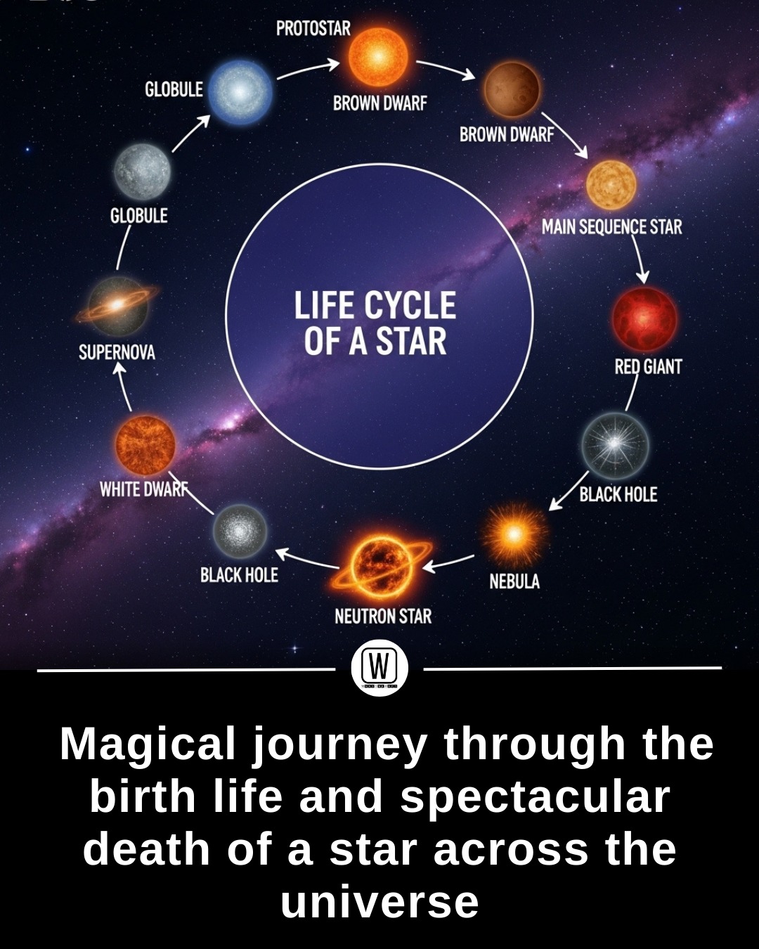 What - In the silent canvas of the cosmos a star’s life begins with a ...