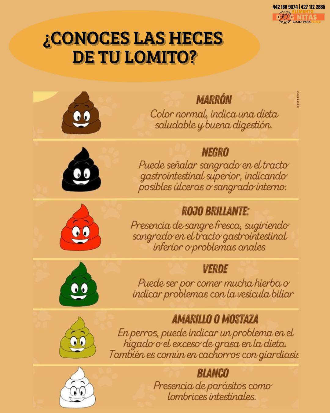 Dognitas - 💩🐶 ¿Conoces lo que dicen las heces de tu lomito? Su forma ...