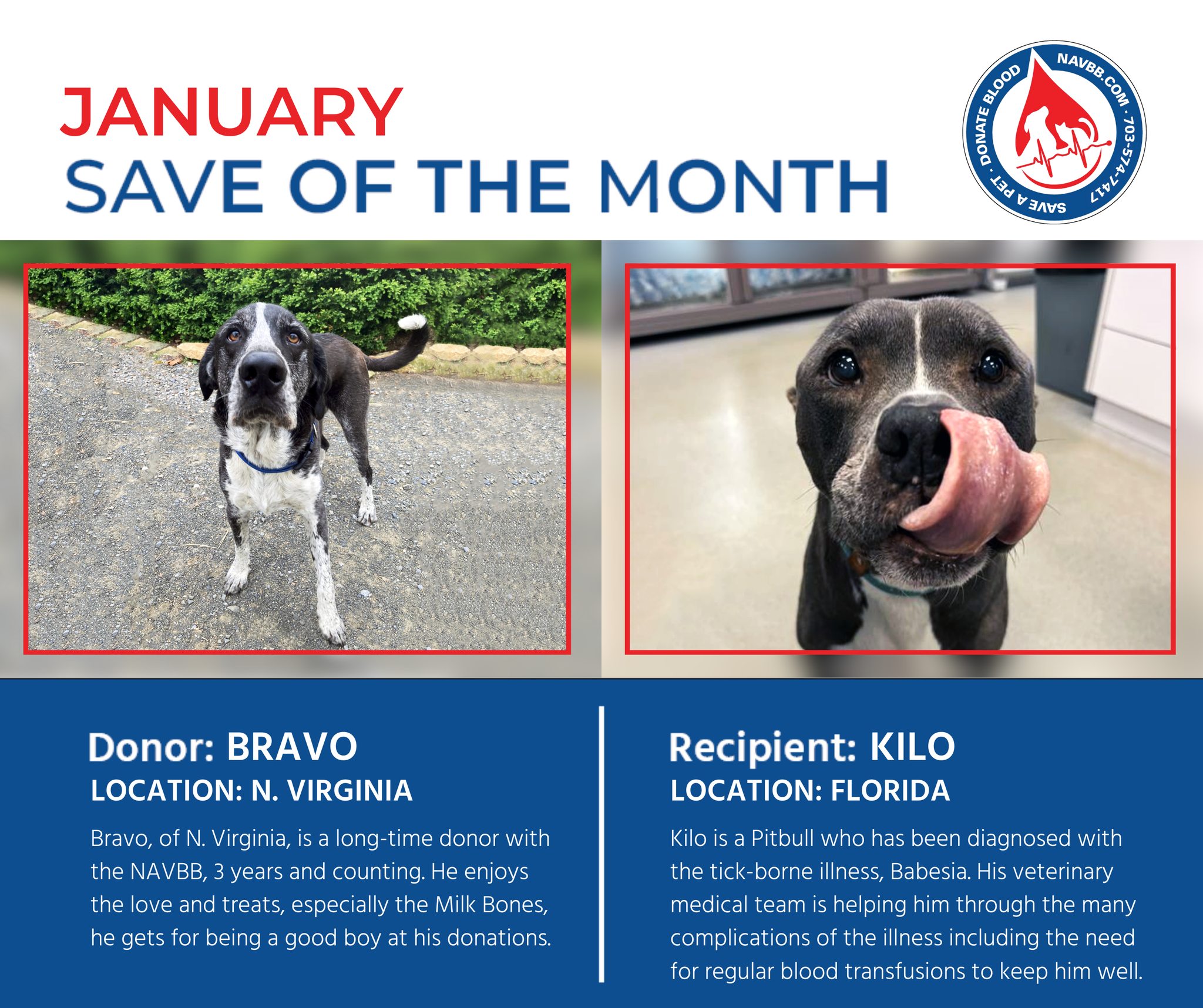 NAVBB - Meet Our January: Save of the Month Donor: Bravo