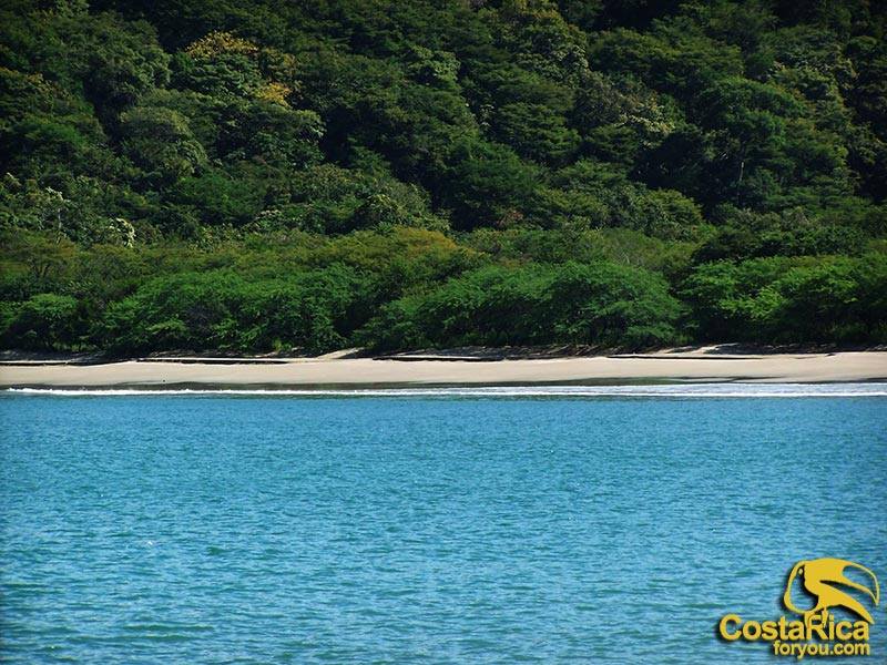 Costa Rica for you