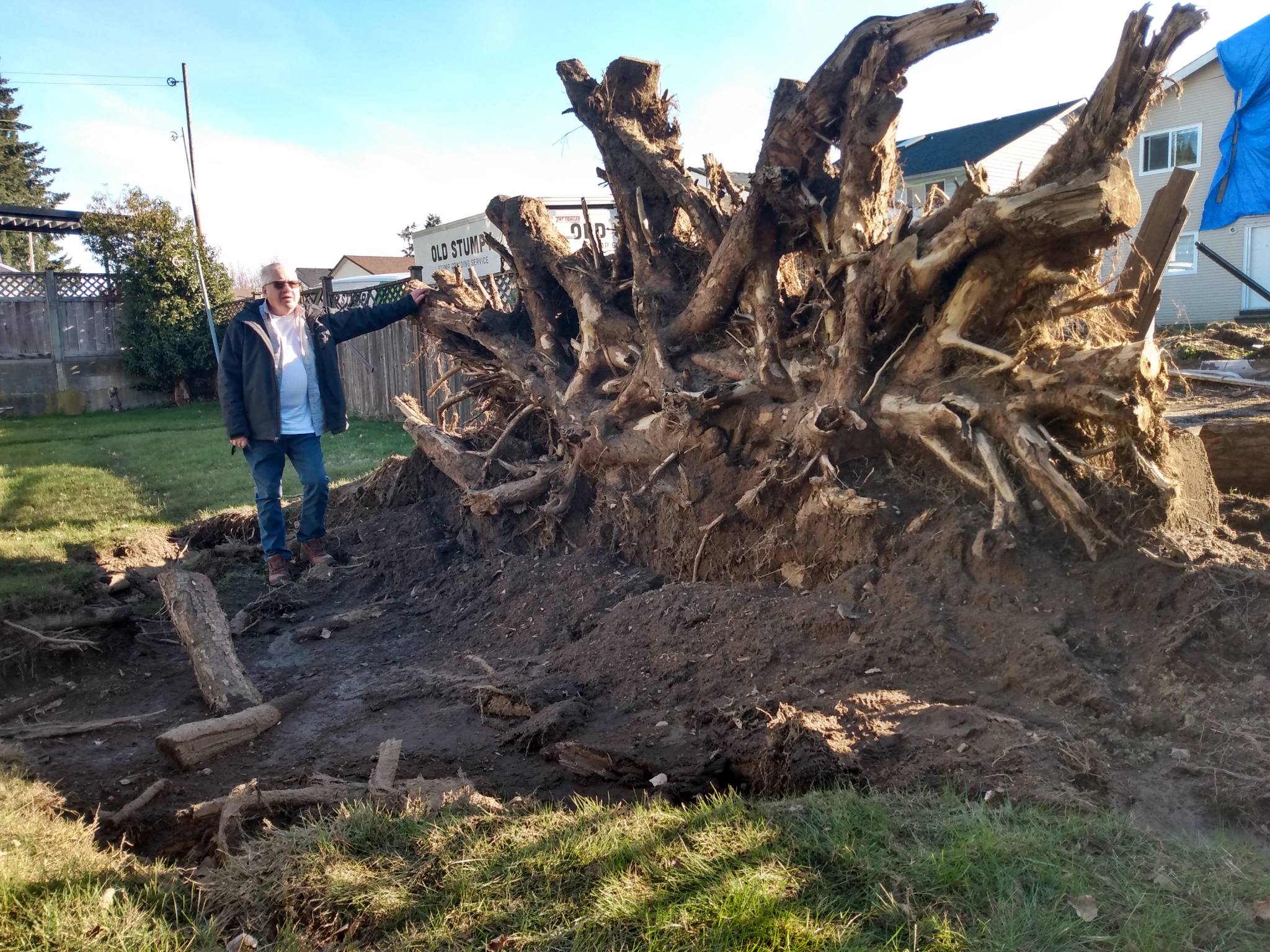 Old Stumpy, stump removal service | Langley BC