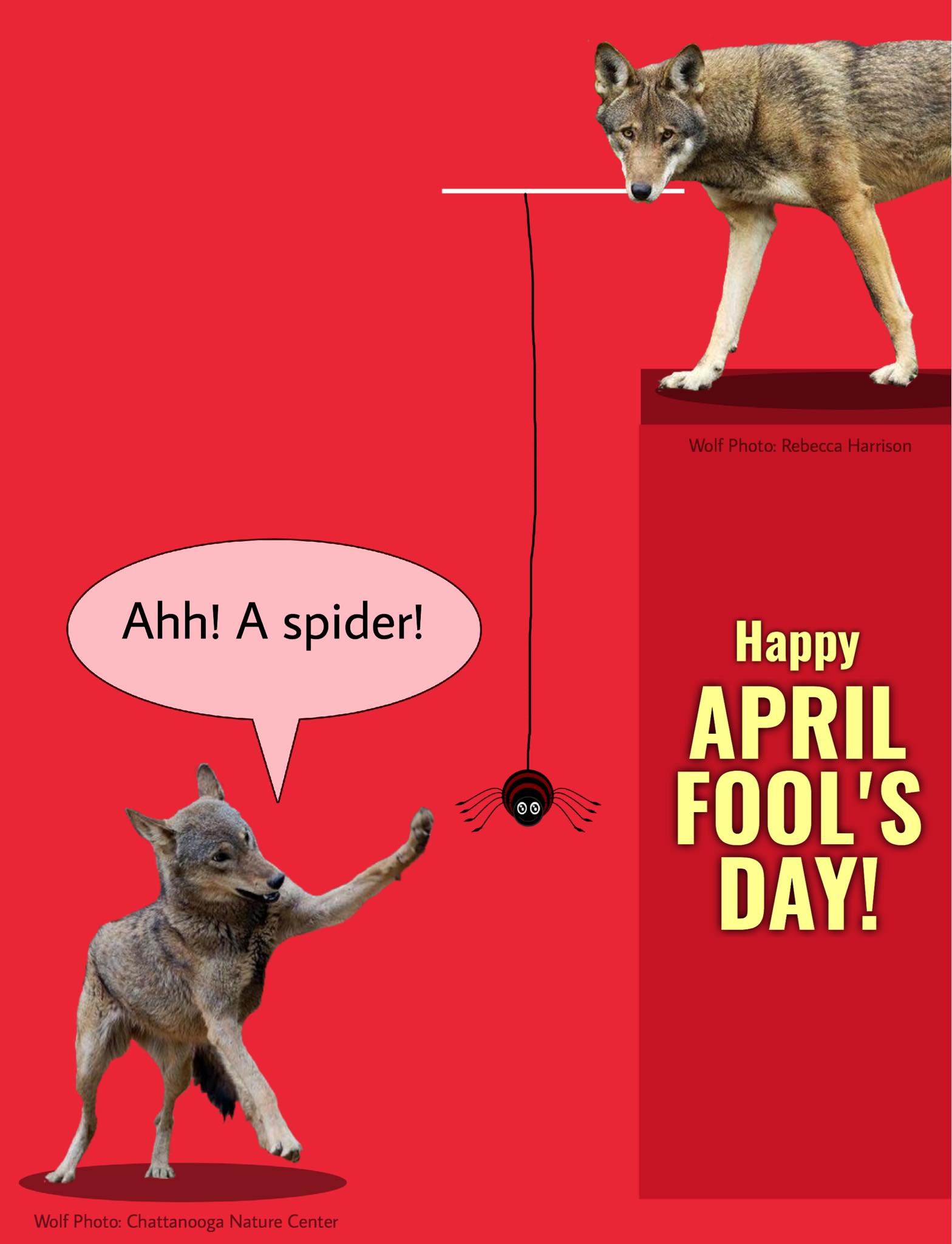 Red Wolf Review - Happy April Fool's Day from your red... | Facebook