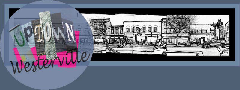 Deb Luckeydoo, a volunteer with Ohio... - WestervilleOH.IO | Facebook