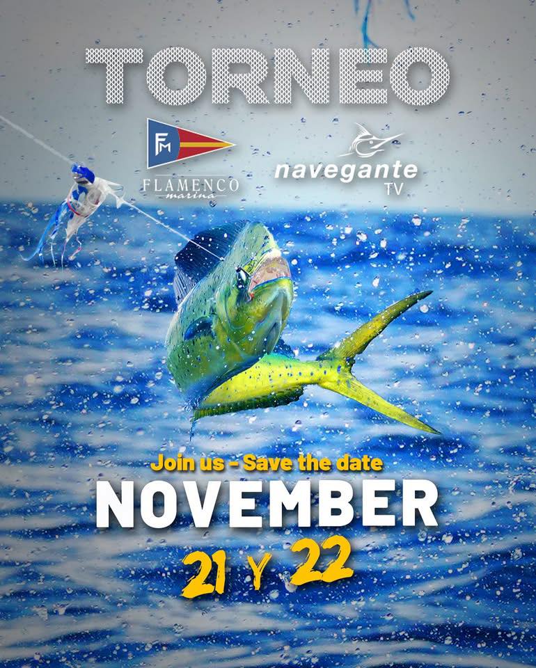 Caribe - ¡¡¡DISPONIBLES PARA ENTREGA INMEDIATA!!! Minnow Race 30 gr 11 ...