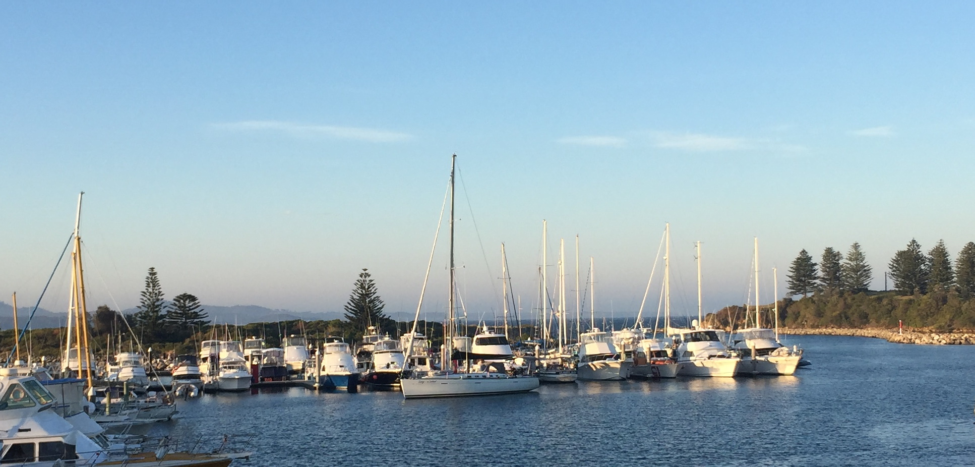Bermagui Surf Life Saving... - Bermagui Surf Life Saving Club