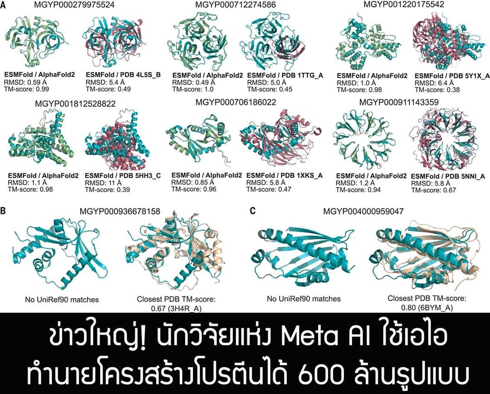 พี่ภู - สรุปความรู้ โปรตีน = polypeptide = polyamide = RCONHR ส่วนใหญ่ ...