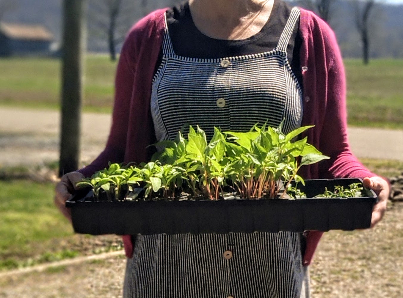 Rustic Roots Homestead LLC