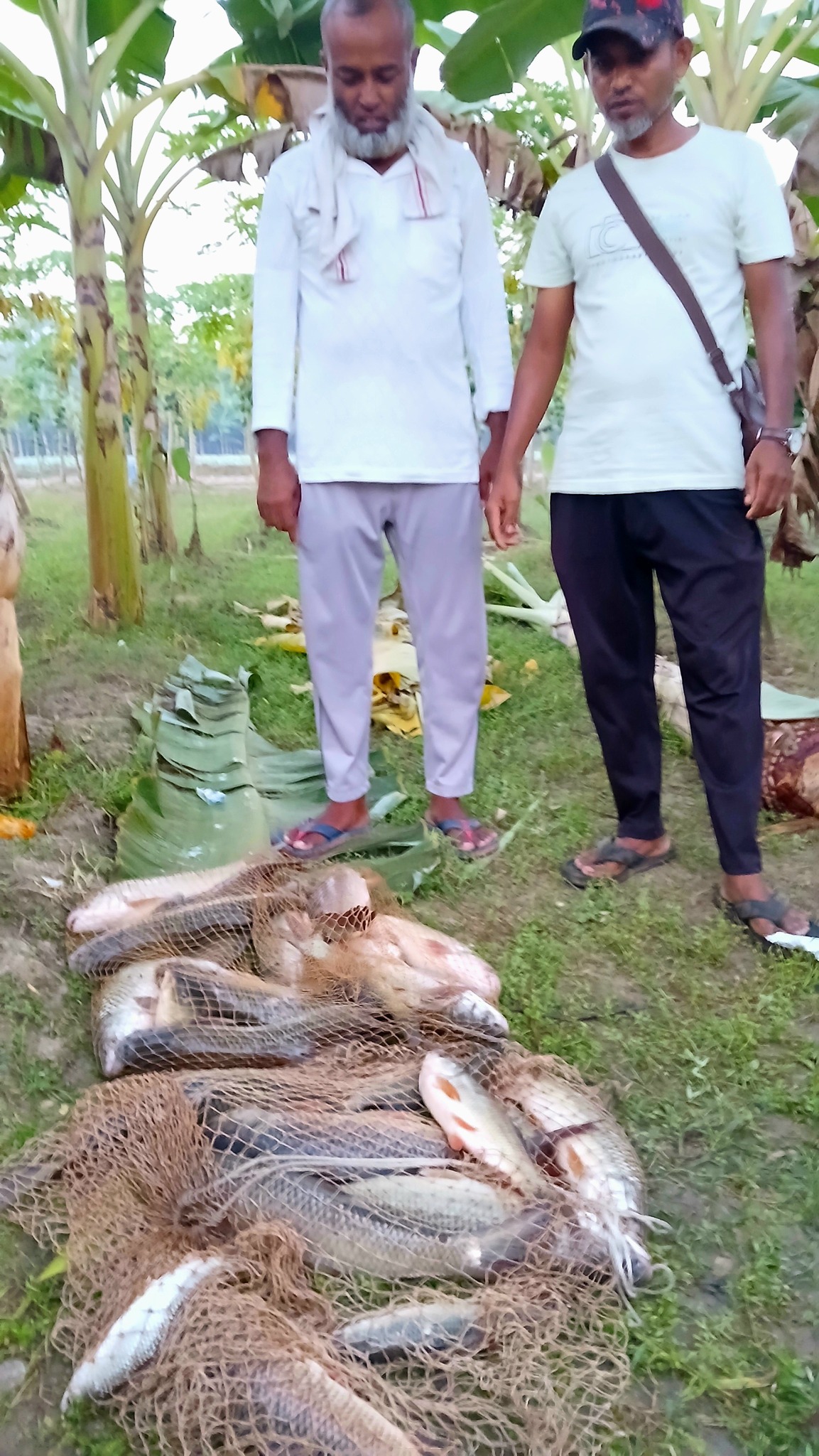 Hasibul vlogs - Hasibul vlogs added a new photo.