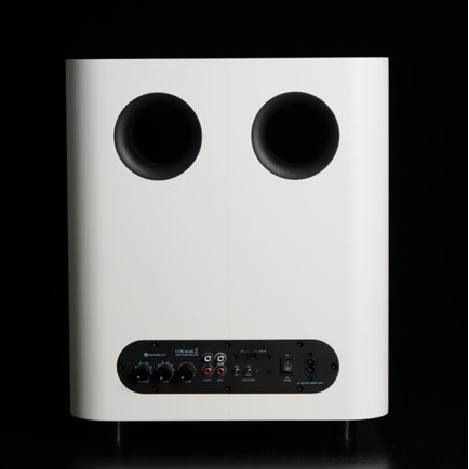 PROEL S10A Subwoofer attivi 10 pollici - Vendita online Attrezzatura per Deejay Mixer Cuffie Microfoni Consolle per DJ