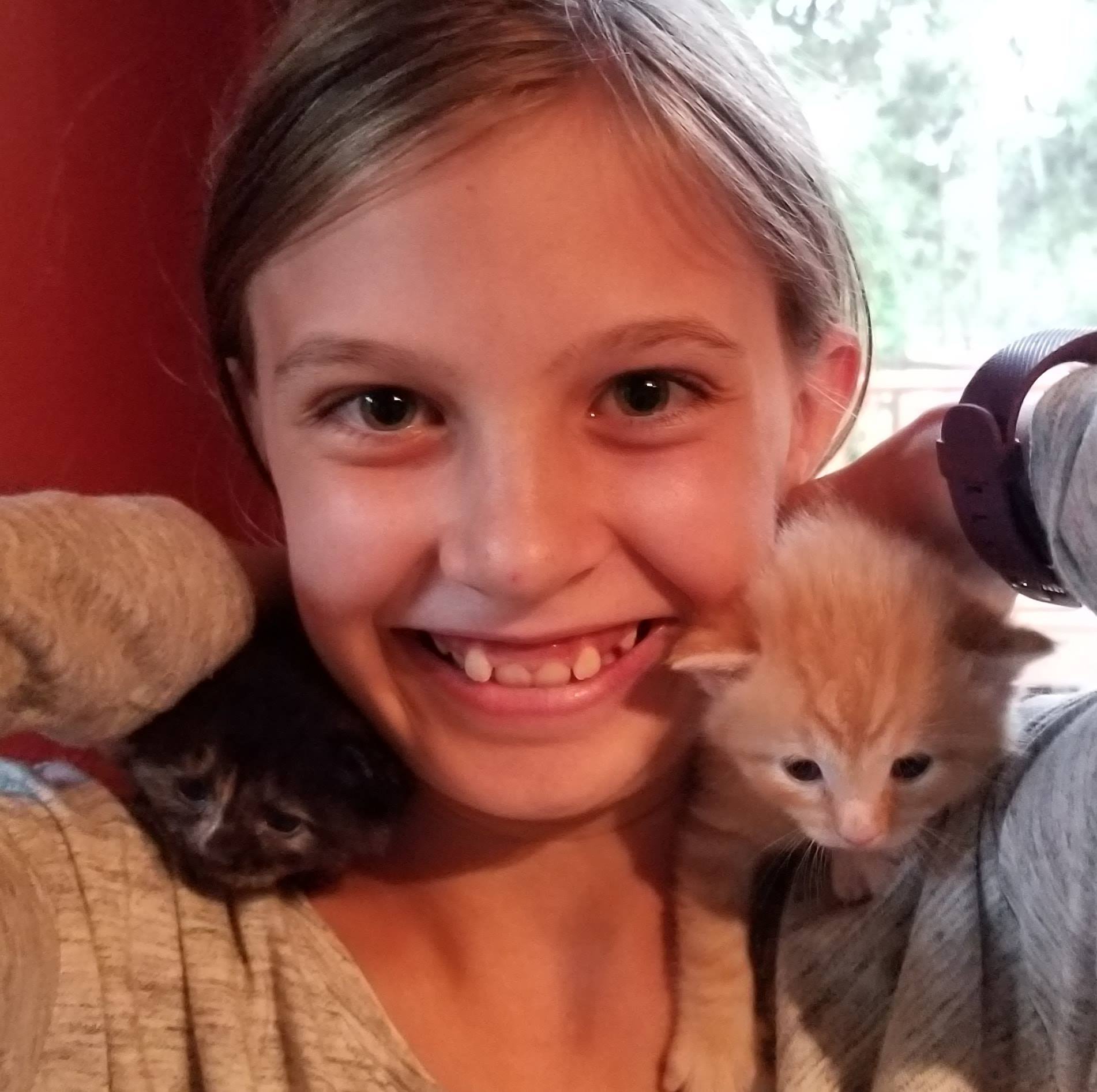 Harbor's Kitty Love