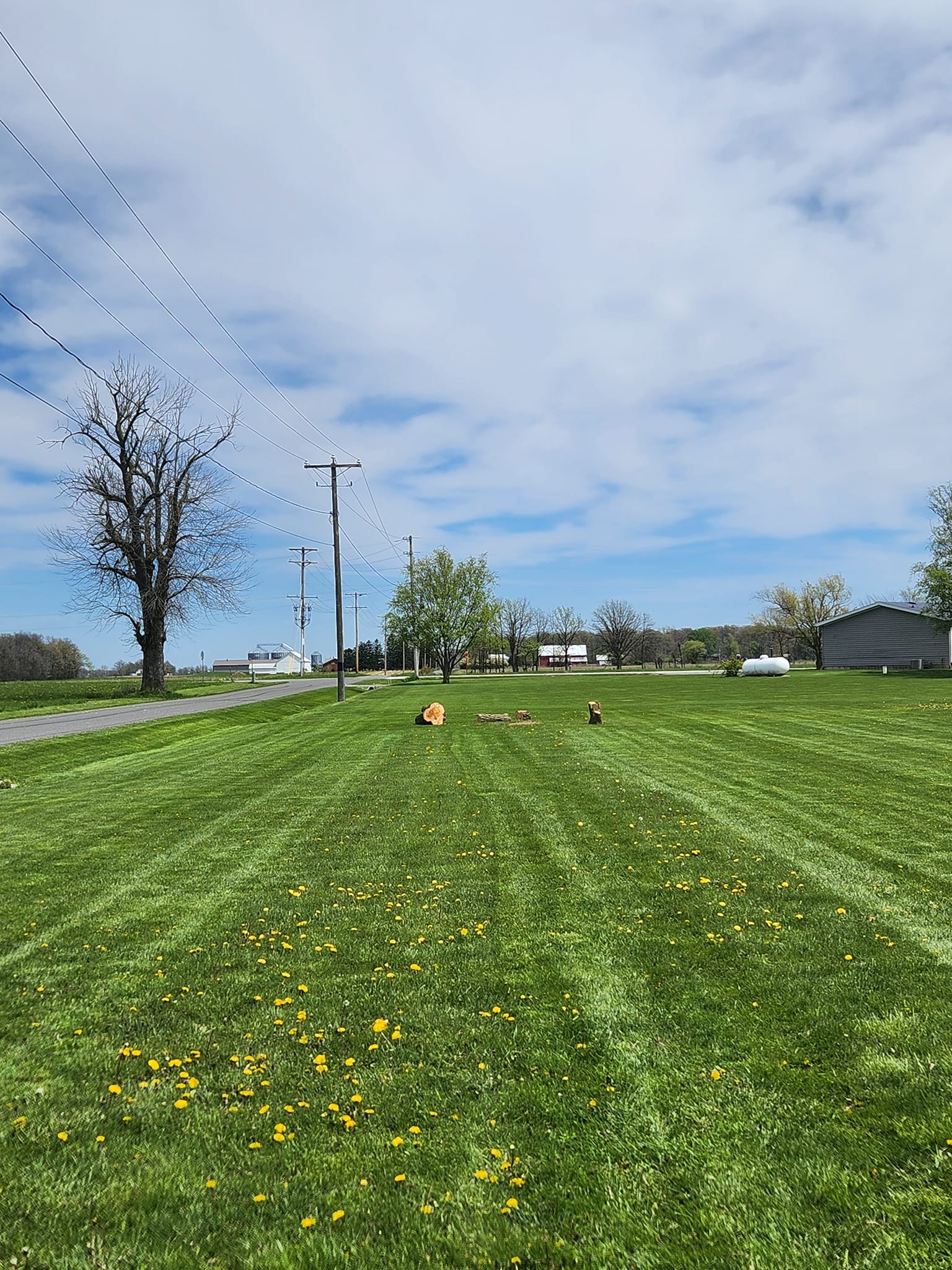 Cook's Tree Service | North Baltimore OH
