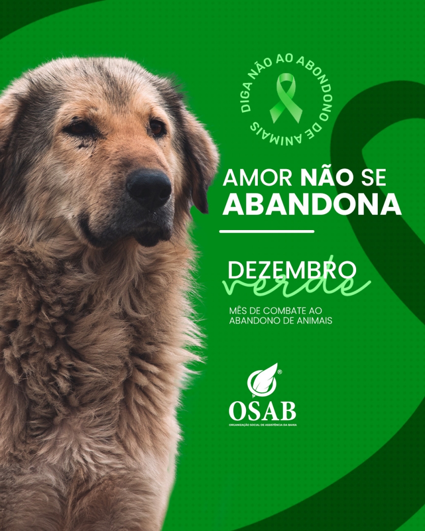 Osab - Em dezembro, com as festas de fim de ano e férias,... | Facebook