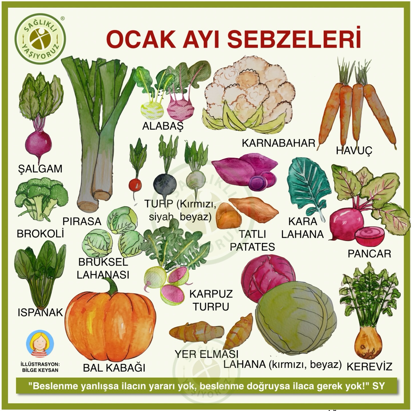 OCAK AYI SEBZELERİ Sağlıklı... - Sağlıklı Yaşıyoruz