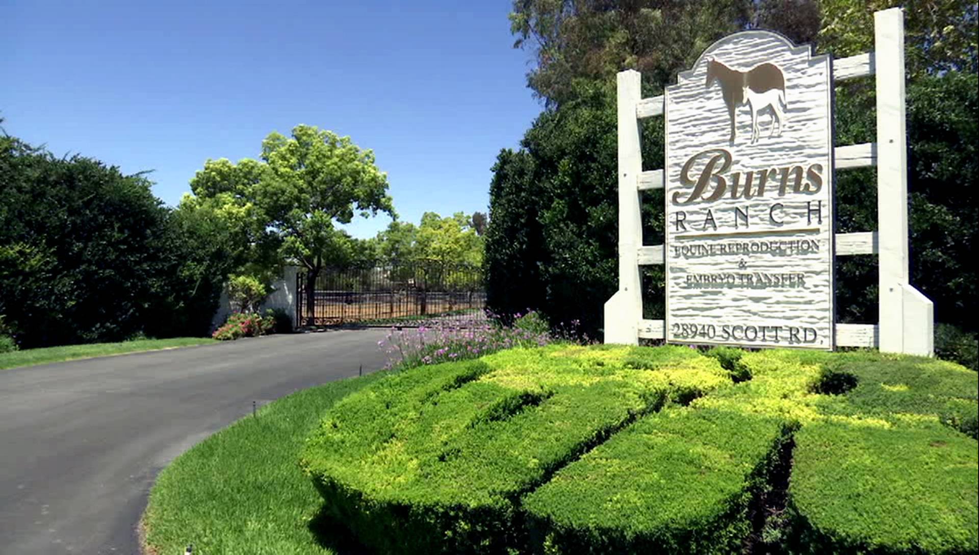 Burns Ranch Inc. added a new photo. - Burns Ranch Inc.