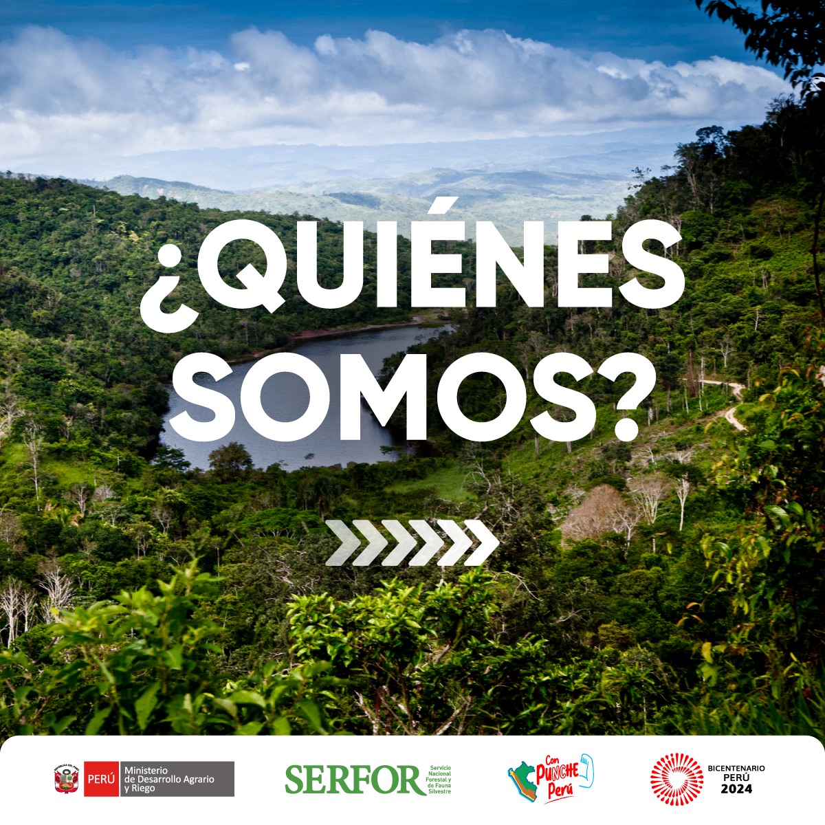 Serfor Perú - 🌳 ¿Qué hace el SERFOR por los bosques y vida... | Facebook