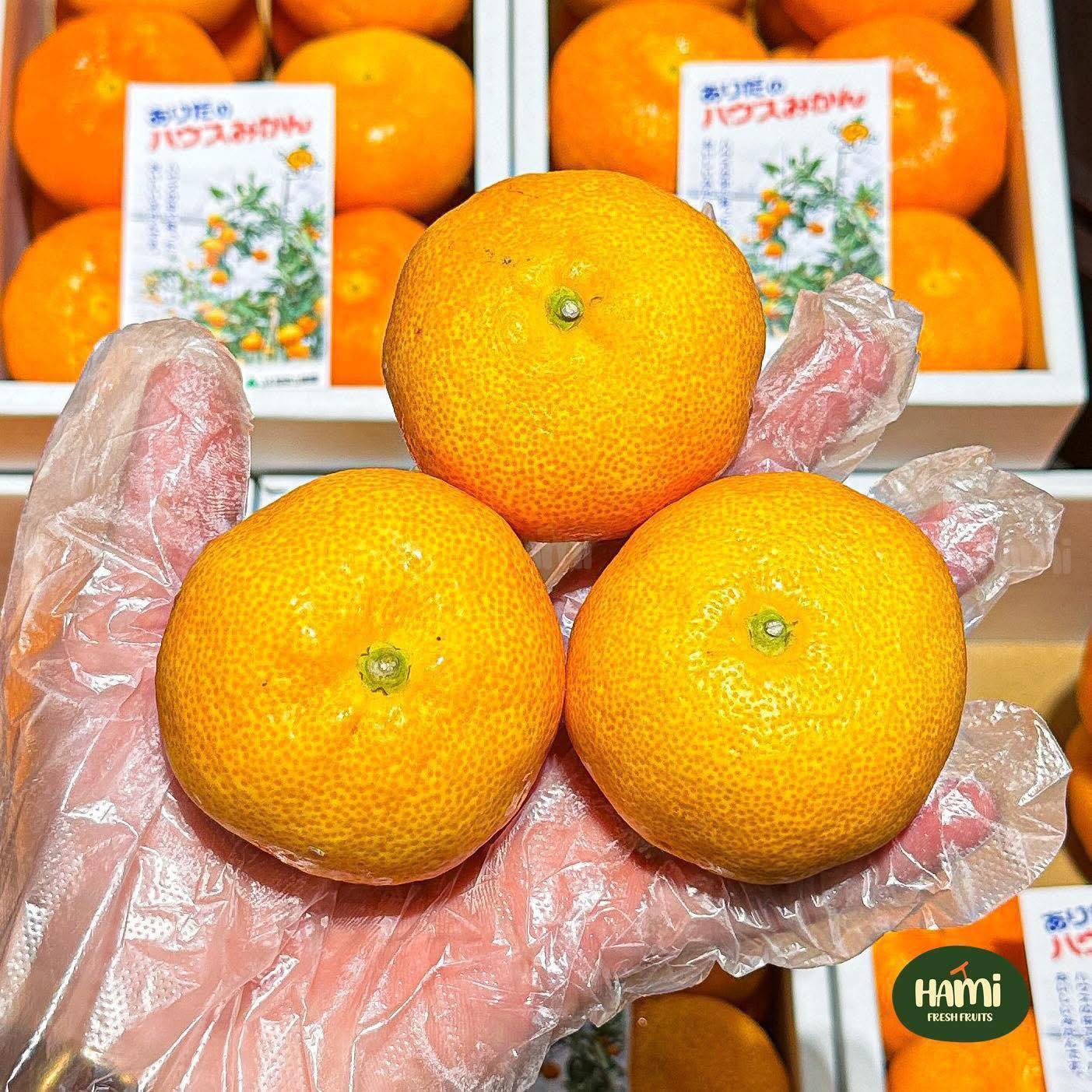 Japanese Arida Mikan Gift Box 🇯🇵🍊 Mikan Gift Box from Arida