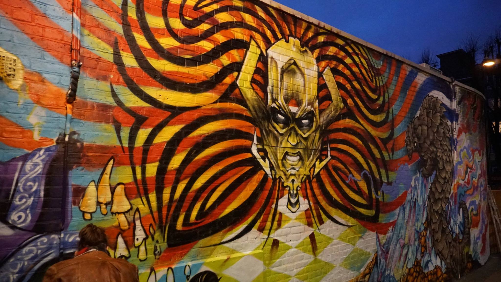 Dr Zadok