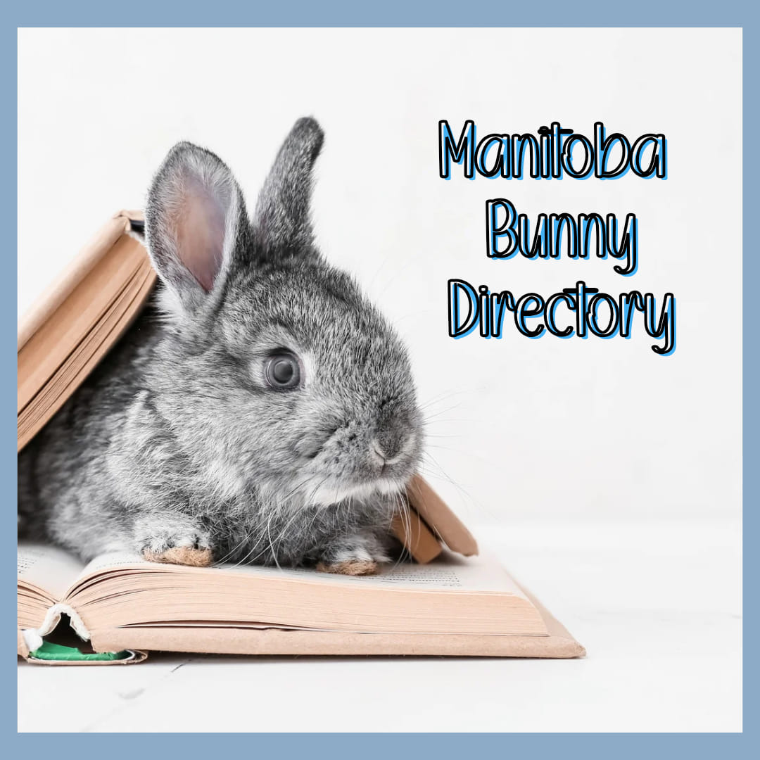 Manitoba Rabbits 🇨🇦🐰 | 🌟🌟 Manitoba Bunny Directory | Facebook