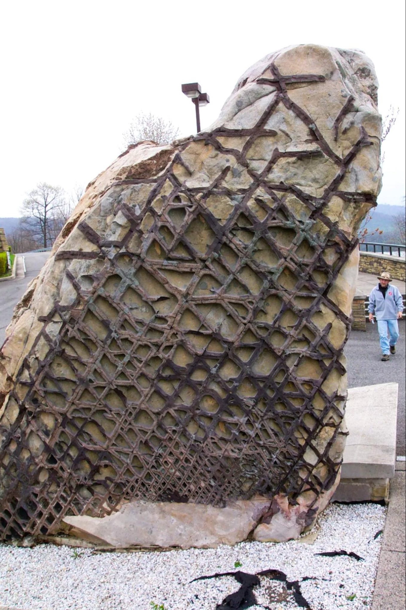 Archeology - Read more: https://buff.ly/G3DRZQl Found in the coal mines ...