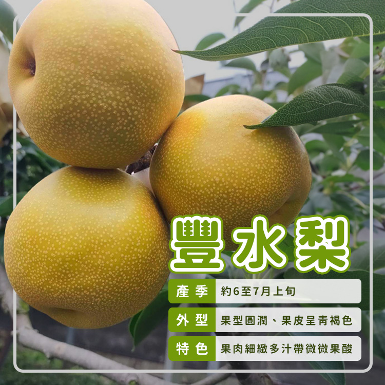 旺宏蜜梨農場 - 好多人問今年的水梨開賣了沒?這不就來了嗎🤩 夏日必吃！甜美多汁的豐水梨搶鮮預購🍐...