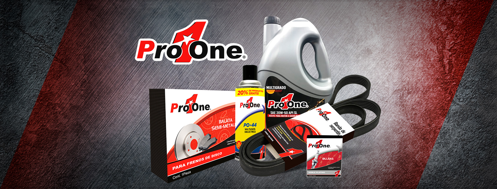Pro1One | Santa Catarina