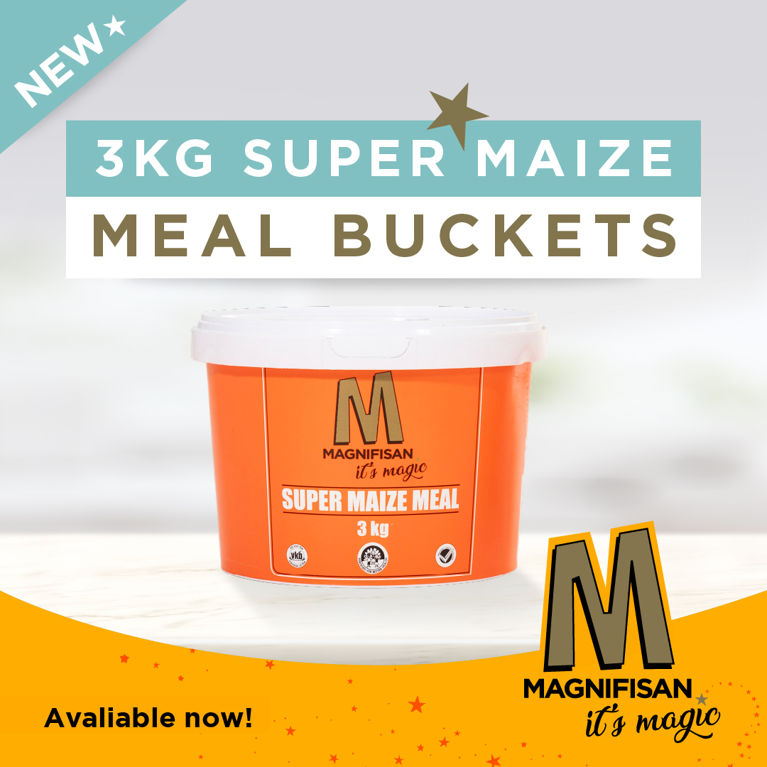 Our #MagnifisanMaizeMeal 15kg buckets are easy to use and