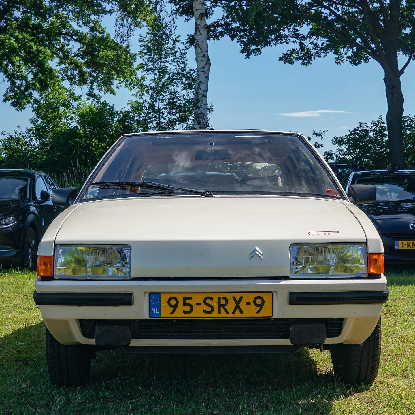 19-year-old's rare car collection: Citroen Xsara, MGF VVC, and