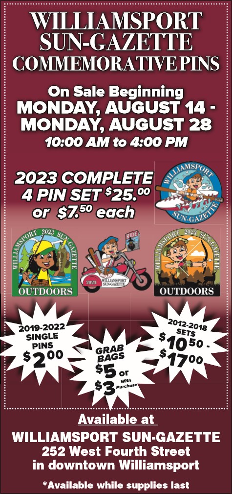 Buy Little League pins at Sun-Gazette