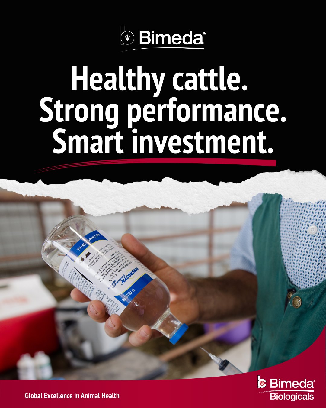 Bimeda US Livestock | Schaumburg IL