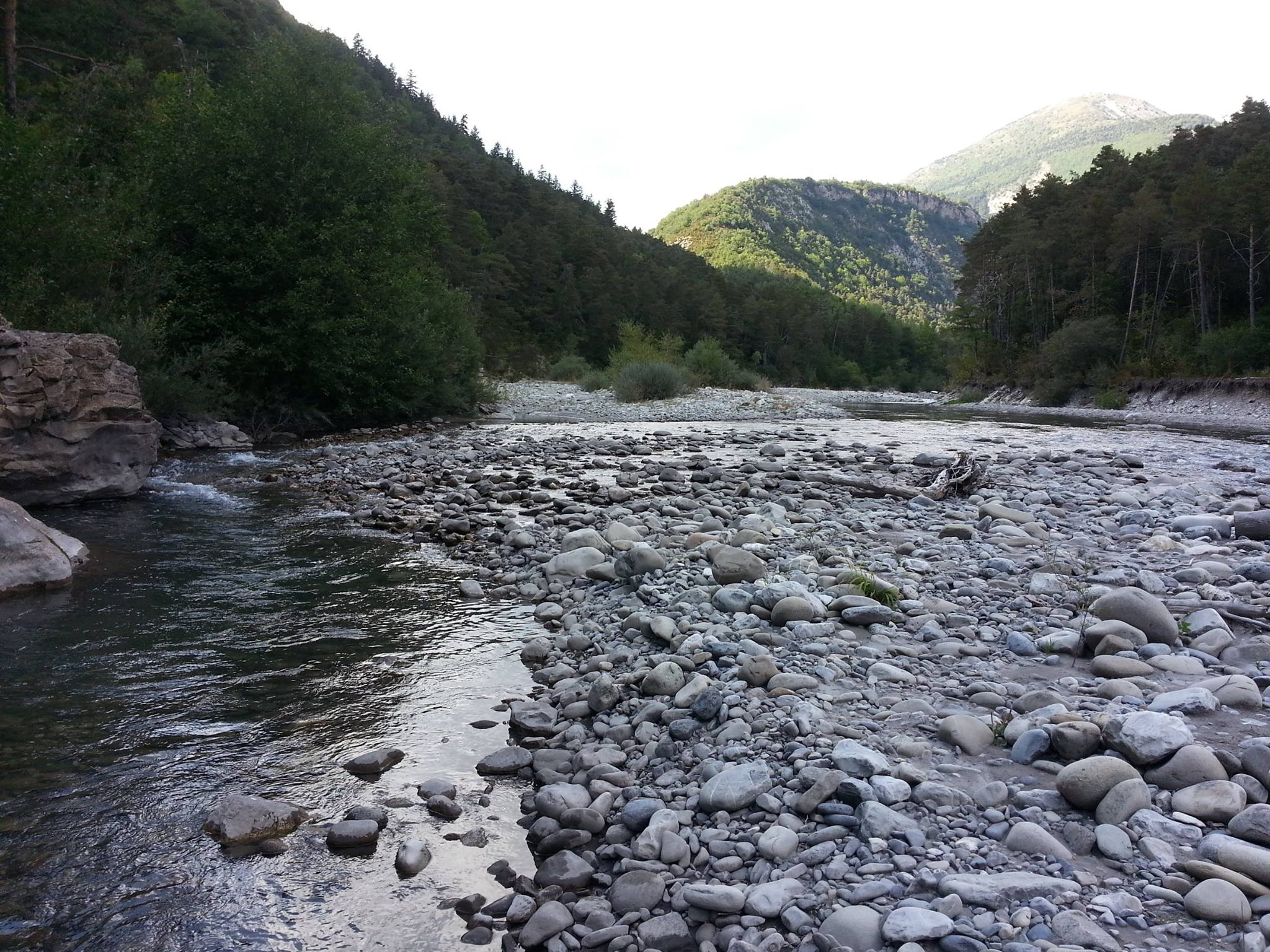 Fédératio... - Fédération de Pêche des Alpes de Haute Provence