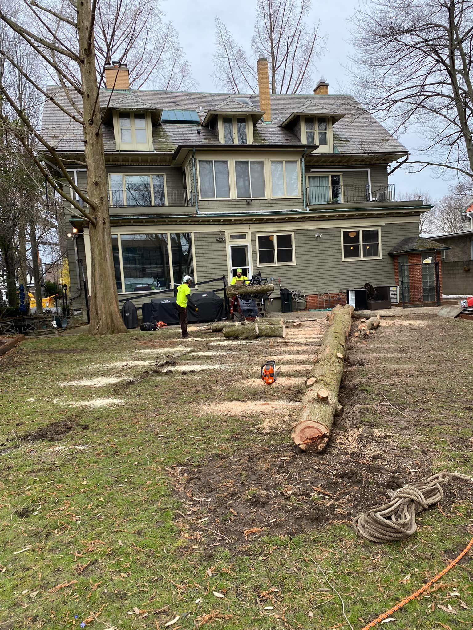 Buffalo Tree Service | Buffalo NY