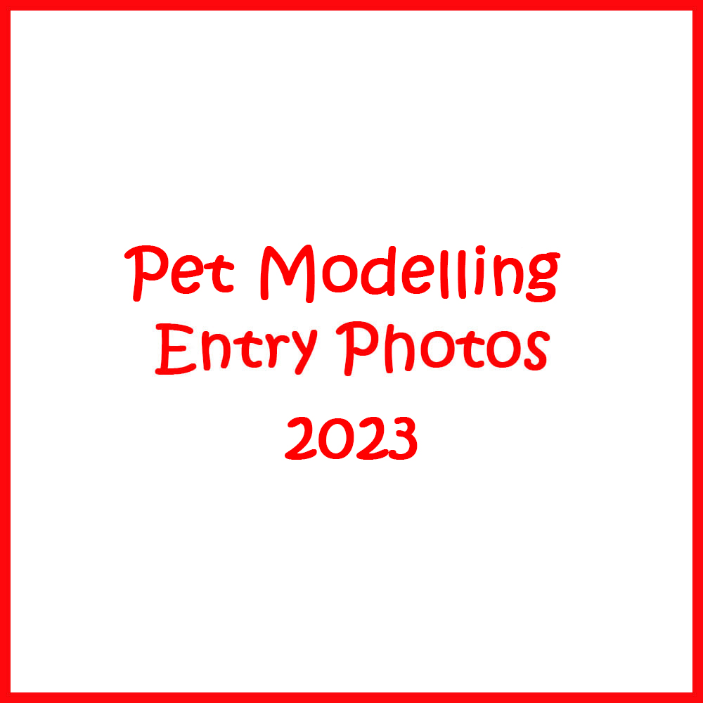 Picture Studios - It's time to take a look at this year’s... | Facebook